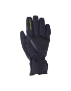 Fischer Manusi schi Performance Black - Marime