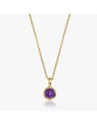 INDIRA Colier din argint Birthstone Golden February - Ametist - 40-50 cm