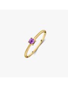 INDIRA Inel din argint Birthstone Golden February - Ametist