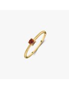 INDIRA Inel din argint Birthstone Golden January - Granat