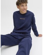 Jack  Jones Bluza de trening din amestec de bumbac organic - Bleumarin