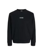 Jack & Jones Bluza JACK &JONES Costance Sweat Crew PLS 48743