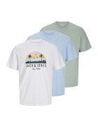 Jack  Jones Set de tricouri cu decolteu la baza gatului - 3 piese - Alb/Verde pal/Albastru deschis