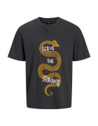 Jack  Jones Tricou JACK &JONES Nirvana CN 48899 - Gri