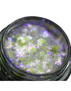 KAJOL Beauty Pigment fulgi PK117(translucid cu irizatii mov intense) pentru machiaj