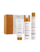 Kemon Set de disciplinare Actyva Disciplina - Sampon 250 ml - Masca 200 ml - Crema 125 ml