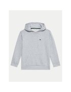Lacoste Hanorac copii gri -