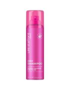 Lee Stafford Dry Shampoo Sampon uscat pentru excesul de sebum 200 ml