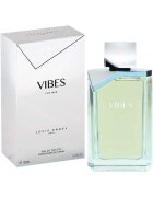Louis Varel Apa De Toaleta Frantuzesc Vibes Men -100ml