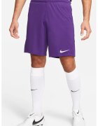 Nike Pantaloni scurti cu tehnologie Dri-FIT pentru fotbal Park III - Ametist