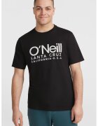 ONeill Tricou de bumbac cu decolteu la baza gatului si imprimeu logo - Negru