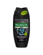 Palmolive Gel de dus Men - 250 ml - Eucalipt