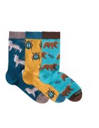 Pirin Hill Sosete bumbac Forest Animals Cool Box - 3 buc