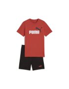 Puma Compleu ESS 2 COLOR No. 1 Logo Tee and Shorts Set-686298-15