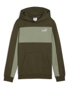 Puma Hanorac cu buzunar kangaroo si model colorblock - Kaki inchis/Verde sparanghel