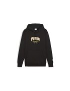 Puma Hanorac TEAM Hoodie 62439601
