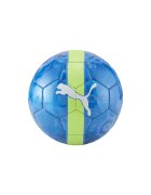 Puma Minge CUP Ball 08407502