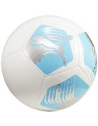 Puma Minge fotbal Big Cat - albastru cu alb - exterior - unisex