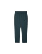 Puma Pantaloni Evostripe Warm Pants-688239-75