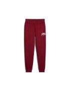 Puma Pantaloni Sweatpants FL CL-681800-13