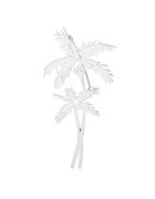 Pursehuit Brosa argintie - forma de palmieri - Lisabell C4 -