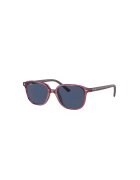 Ray-Ban Ochelari de soare wayfarer cu logo - Maro