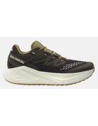 Salomon Aero Glide 3 Incaltaminte de Alergare pentru Barbati