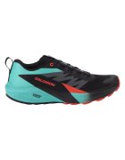 Salomon Pantofi alergare barbati Sense Ride 5 - Multicolor