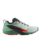 Salomon Pantofi low-cut pentru alergare Sense Ride 5 - Rosu/Negru stins/Verde aquamarin