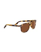 SERENGETI Ochelari Giacomo Mossy Tortoise