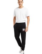 The North Face Pantaloni barbati Fine box trening negri