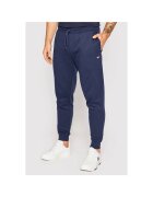 Tommy Jeans Pantaloni de sport DM0DM15380