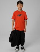 4F T-shirt regular cu imprimeu pentru băieți - 158