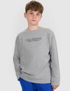 4F Tricou regular cu mânecă lungă cu imprimeu pentru băieți - 164