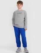 4F Tricou regular cu mânecă lungă cu imprimeu pentru băieți - 164