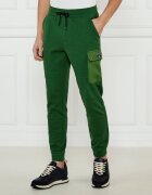 Aeronautica Militare Pantaloni de trening | Regular Fit
