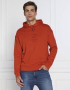 Armani Exchange Hanorac | Regular Fit