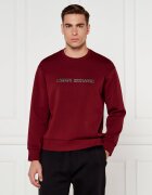 Armani Exchange Hanorac | Regular Fit