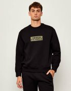 Armani Exchange Hanorac | regular fit