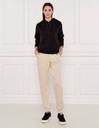 Armani Exchange Hanorac | Regular Fit