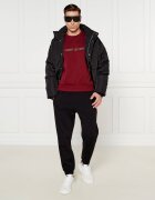Armani Exchange Hanorac | Regular Fit