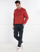 Armani Exchange Hanorac | Regular Fit