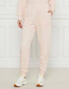 Armani Exchange Pantaloni de trening | Regular Fit