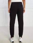 Armani Exchange Pantaloni de trening | Regular Fit
