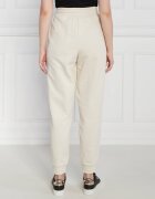 Armani Exchange Pantaloni de trening | Regular Fit