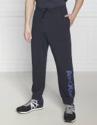 Armani Exchange Pantaloni de trening | Regular Fit