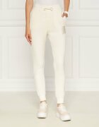 Armani Exchange Pantaloni de trening | Slim Fit