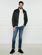 Armani Exchange Polo | Regular Fit