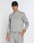 BOSS Green Hanorac Salbo Iconic | Regular Fit
