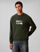 Calvin Klein Hanorac Terry | regular fit